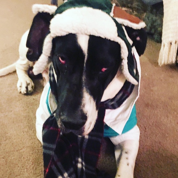 Meet your Posher, Anne - Picture 1 of 2